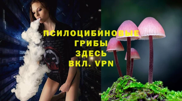 apvp Осташков