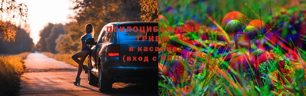 ECSTASY Переславль-Залесский