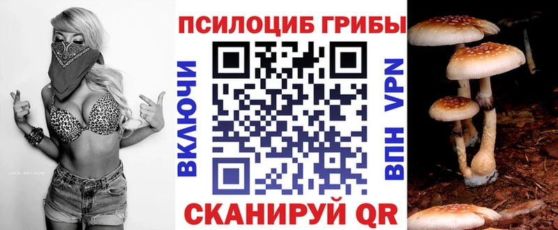магазин продажи наркотиков  Орехово-Зуево  Псилоцибиновые грибы мухоморы 