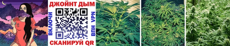 Канабис OG Kush  купить наркотик  Орехово-Зуево 